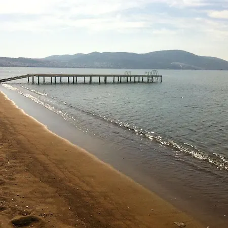 Triplex Summer House, New Building Ferienhaus *